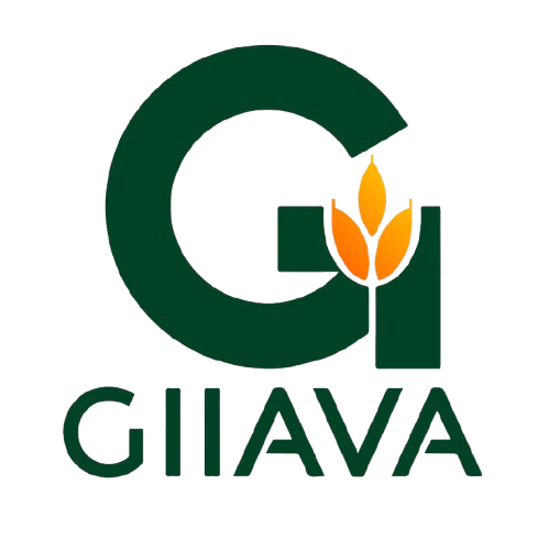 Giiava